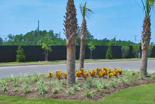 Professionally landscaping and installation for commercial property in Jackson, MS.