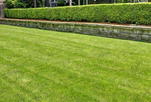 Professionally maintained lawn and landscape property by Ambiance Landscape in Jackson, MS.
