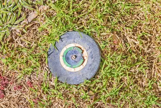 Sprinkler head for irrigation system in Jackson, MS yard.