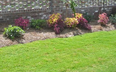 Commercial property in Jackson, MS with landscaping maintained by Ambiance Landscape.